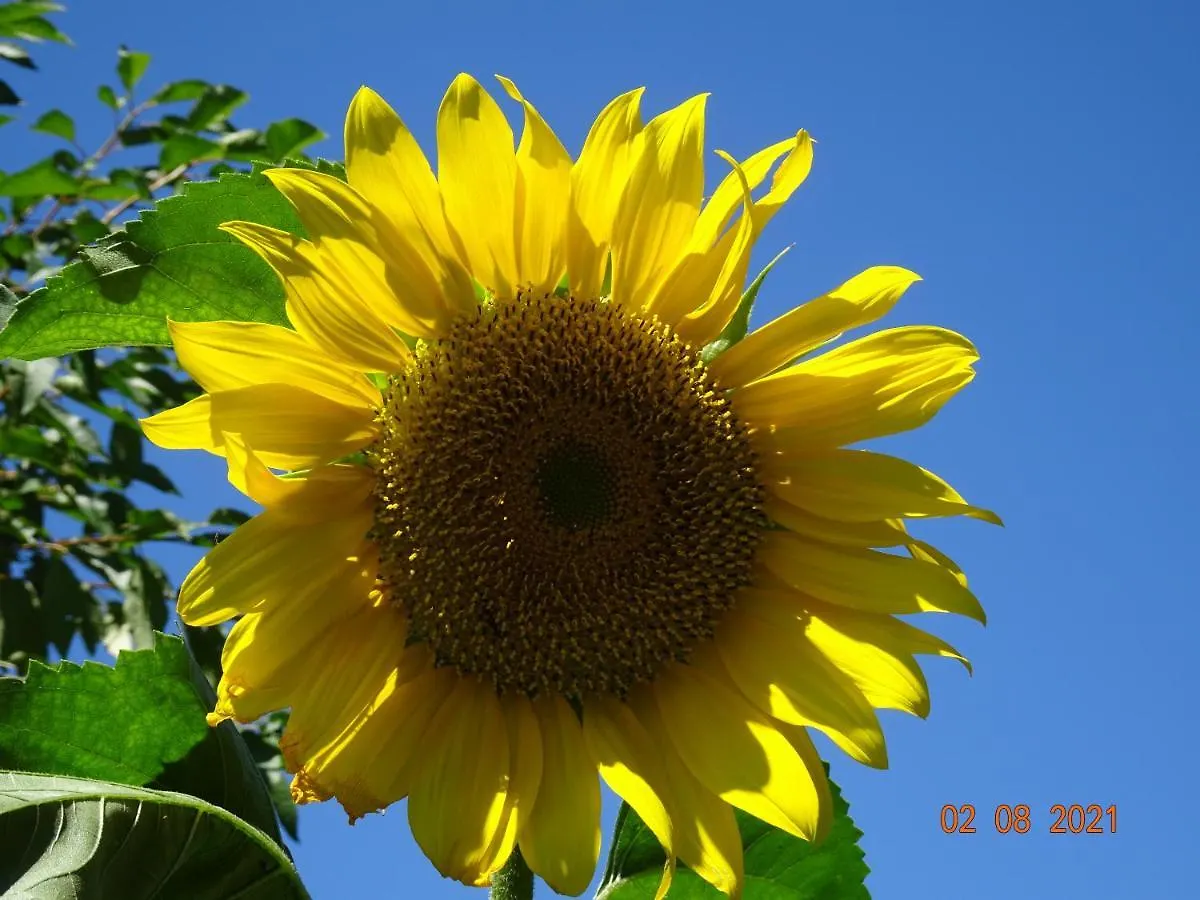 La Pardigone Villa Castellane Holiday home