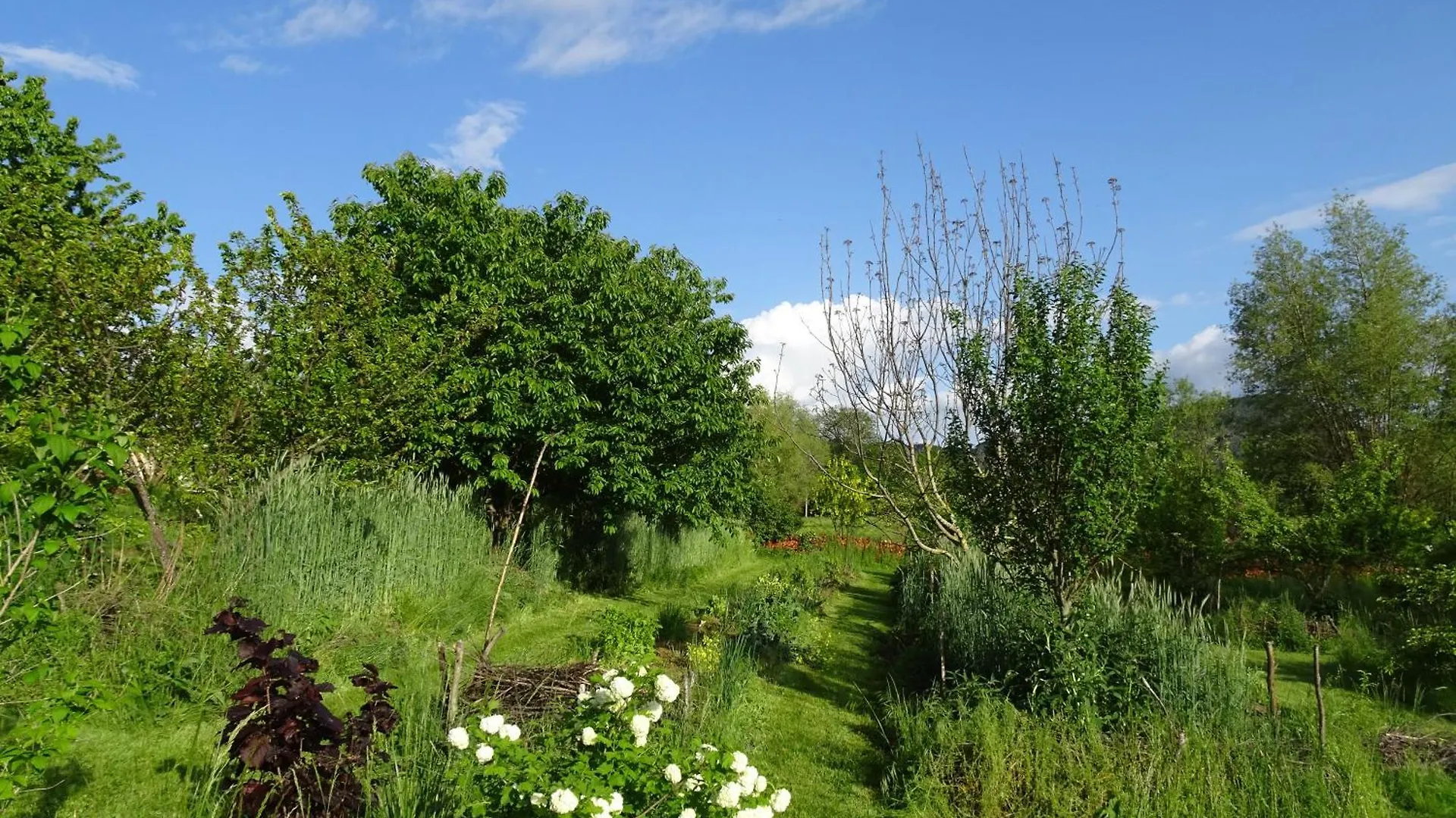 Holiday home La Pardigone Villa Castellane